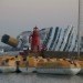 costa concordia, tuscan archipelago national park, mediterranian monk seal, cruise liner, fuel leak, toxic spill, hot-tapping oil, shipwreck salvage,environmental disaster, oil spill, oil leak