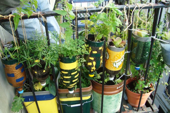Urban Organic Gardener Fire Escape Garden, fire escape garden, urban organic gardener, urban gardening, urban gardens nyc, urban gardens new york, how to grow an urban garden