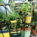 Urban Organic Gardener Fire Escape Garden, fire escape garden, urban organic gardener, urban gardening, urban gardens nyc, urban gardens new york, how to grow an urban garden