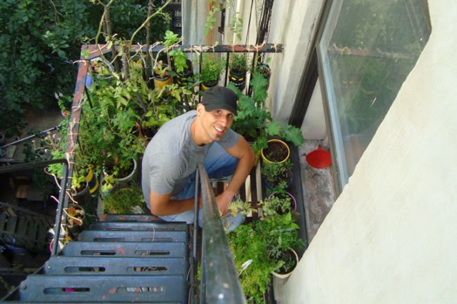 Urban Organic Gardener Fire Escape Garden, fire escape garden, urban organic gardener, urban gardening, urban gardens nyc, urban gardens new york, how to grow an urban garden