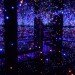 Infinity Mirrored Room, Yayoi Kusama, tate modern, retrospective, sparkling installation, LED lights artwork