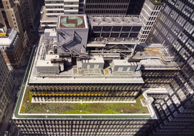 green design, eco design, sustainable design, JPMorgan Chase, LEED Platinum renovation, Rainwater collection, green roof, edible garden, recycled construction waste