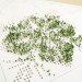 green interiors, lena louise meyer, sprout table, green design, eco design, sustainable design, swedish design, sweden, swedish sprout table, green tables, eco tables, sustainable tables, eco interiors, sustainable interiors, green furniture, eco furniture, sustainable furniture