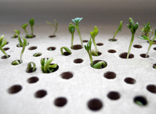 green interiors, lena louise meyer, sprout table, green design, eco design, sustainable design, swedish design, sweden, swedish sprout table, green tables, eco tables, sustainable tables, eco interiors, sustainable interiors, green furniture, eco furniture, sustainable furniture