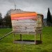 Modern Coop, Wright Design Office, John Wright, chickens, chicken coop, recycled materials, reclaimed wood, urban chicken coop, Portland