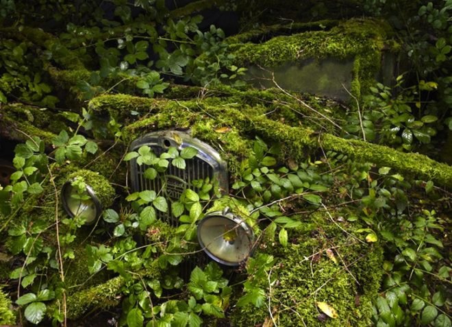 Parking Paradise, vintage cars, abandoned cars, photography, Peter Lippmann, green design, sustainable design, eco design, art, eco-art, green art, environmental art, automobiles, France, Gallery Sophie Maree, Brussels