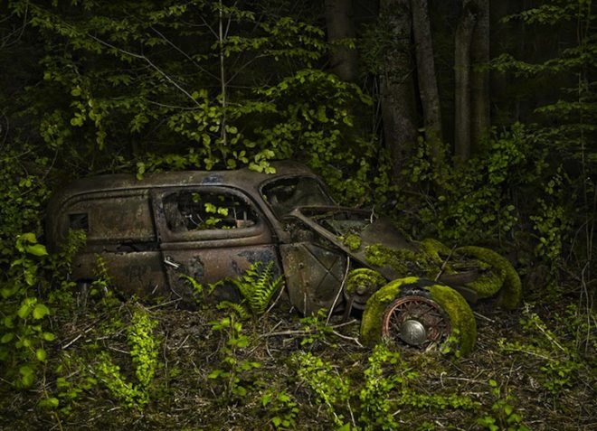Parking Paradise, vintage cars, abandoned cars, photography, Peter Lippmann, green design, sustainable design, eco design, art, eco-art, green art, environmental art, automobiles, France, Gallery Sophie Maree, Brussels