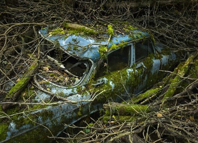 Parking Paradise, vintage cars, abandoned cars, photography, Peter Lippmann, green design, sustainable design, eco design, art, eco-art, green art, environmental art, automobiles, France, Gallery Sophie Maree, Brussels