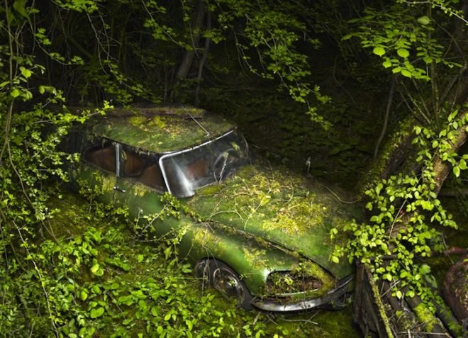Parking Paradise, vintage cars, abandoned cars, photography, Peter Lippmann, green design, sustainable design, eco design, art, eco-art, green art, environmental art, automobiles, France, Gallery Sophie Maree, Brussels