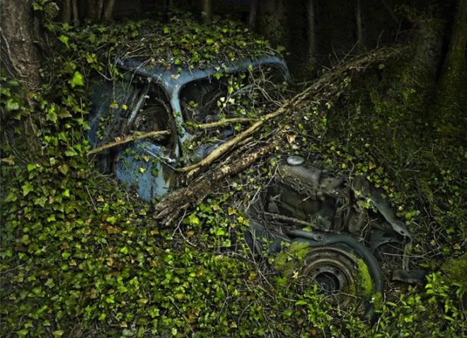 Parking Paradise, vintage cars, abandoned cars, photography, Peter Lippmann, green design, sustainable design, eco design, art, eco-art, green art, environmental art, automobiles, France, Gallery Sophie Maree, Brussels