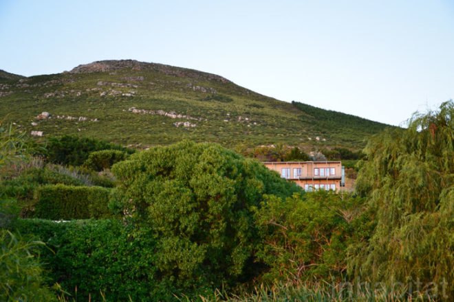 Hemp, hempcrete, green building, sustainable building, eco design, sustainable design, tony burden, the hemp house, south africa, cape town, 2014 world design capital, noordhoek, green roof, planted roof, carbon sink, rainwater runoff
