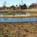 South Los Angeles Wetland Park, los angeles, constructed wetlands, wetlands, storm water, pollution reducing wetlands, los angeles green design