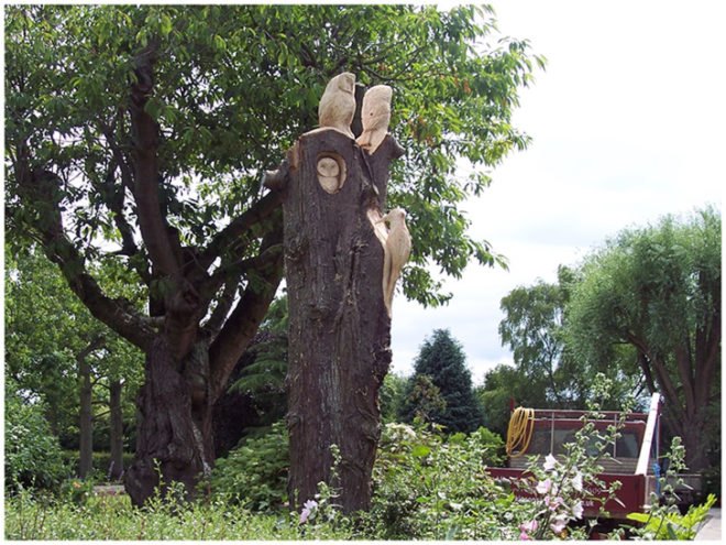 art, outdoor art, green art, eco art, sustainable art, tree carving, chainsaw carving, carving, tree sculptures, tree carving sculptures, chainsaw carving sculptures, tommy craggs, north yorkshire, mystery carver, wood sculpture, wood design, wood art