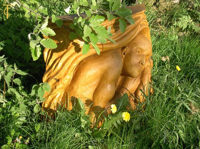 art, outdoor art, green art, eco art, sustainable art, tree carving, chainsaw carving, carving, tree sculptures, tree carving sculptures, chainsaw carving sculptures, tommy craggs, north yorkshire, mystery carver, wood sculpture, wood design, wood art