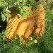art, outdoor art, green art, eco art, sustainable art, tree carving, chainsaw carving, carving, tree sculptures, tree carving sculptures, chainsaw carving sculptures, tommy craggs, north yorkshire, mystery carver, wood sculpture, wood design, wood art