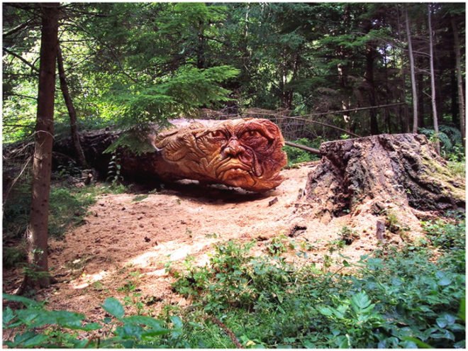 art, outdoor art, green art, eco art, sustainable art, tree carving, chainsaw carving, carving, tree sculptures, tree carving sculptures, chainsaw carving sculptures, tommy craggs, north yorkshire, mystery carver, wood sculpture, wood design, wood art