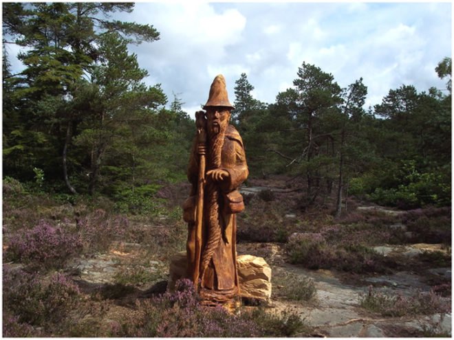 art, outdoor art, green art, eco art, sustainable art, tree carving, chainsaw carving, carving, tree sculptures, tree carving sculptures, chainsaw carving sculptures, tommy craggs, north yorkshire, mystery carver, wood sculpture, wood design, wood art