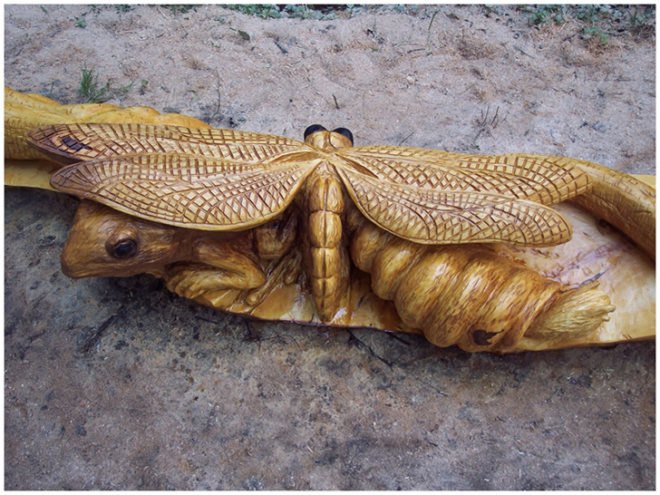 art, outdoor art, green art, eco art, sustainable art, tree carving, chainsaw carving, carving, tree sculptures, tree carving sculptures, chainsaw carving sculptures, tommy craggs, north yorkshire, mystery carver, wood sculpture, wood design, wood art