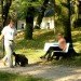 aandeboom, rogier marten, tree bench, attached to tree bench, park bench design, dutch bench design, mobile benches, green park bench design
