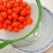 vege aqua, fruit wash, vegetable wash, inhabitat review, fruit and veggie wash, fruit rinse, clean vegetables, e coli, bacteria on fruits, wash produce, produce wash