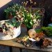 diy string garden, wilder quarterly, wilder magazine, how to make a string garden, apartment gardening, botanical diys