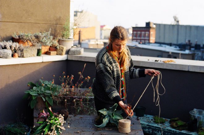 diy string garden, wilder quarterly, wilder magazine, how to make a string garden, apartment gardening, botanical diys