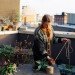 diy string garden, wilder quarterly, wilder magazine, how to make a string garden, apartment gardening, botanical diys