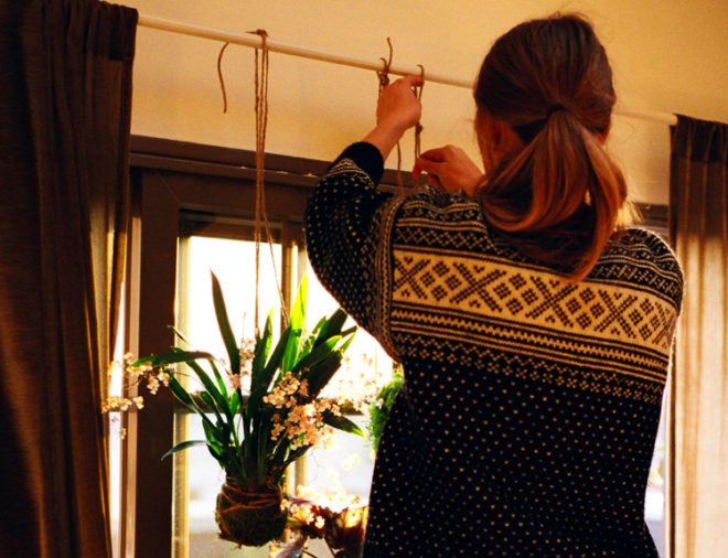 diy string garden, wilder quarterly, wilder magazine, how to make a string garden, apartment gardening, botanical diys