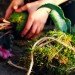 diy string garden, wilder quarterly, wilder magazine, how to make a string garden, apartment gardening, botanical diys