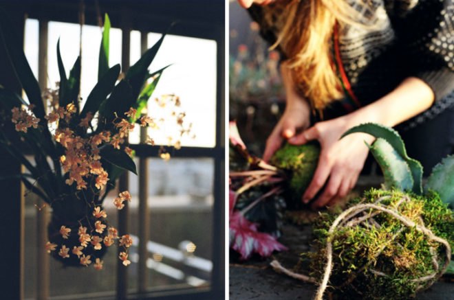 diy string garden, wilder quarterly, wilder magazine, how to make a string garden, apartment gardening, botanical diys
