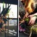 diy string garden, wilder quarterly, wilder magazine, how to make a string garden, apartment gardening, botanical diys