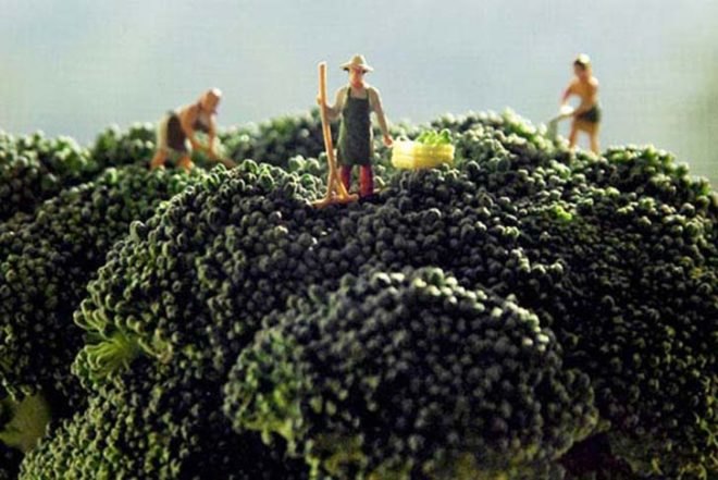 Matthew Carden, Small World, food, food photography, healthy eating, small landscapes