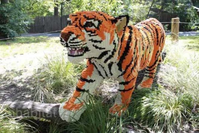 Bronx Zoo, LEGO Master builders, LEGO bear, LEGO flamingo, LEGO tiger, LEGO gorilla, LEGO frog, LEGO giraffe, LEGO animals