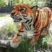 Bronx Zoo, LEGO Master builders, LEGO bear, LEGO flamingo, LEGO tiger, LEGO gorilla, LEGO frog, LEGO giraffe, LEGO animals
