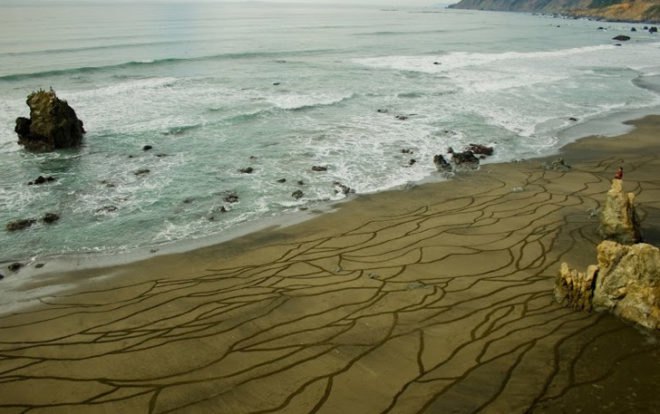 Andres Amador, Sand Painting, Sand Drawing, Sustainable Art, Eco Art, Ocean Inspired Art, San Francisco