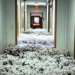 anna schuleit, bloom, Massachusetts Mental Health Center (MMHC), flower installation, public artwrok, memorial artwork, celebratory artwork, living artwork, social art