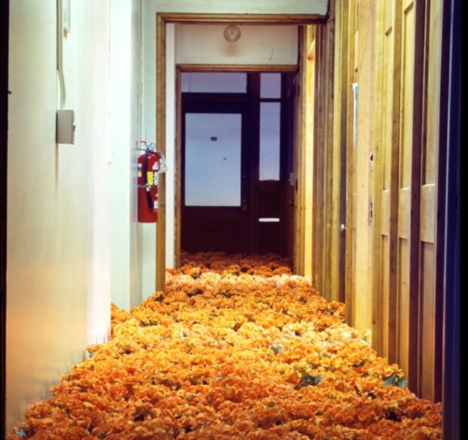anna schuleit, bloom, Massachusetts Mental Health Center (MMHC), flower installation, public artwrok, memorial artwork, celebratory artwork, living artwork, social art