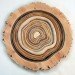 Contemporary Jewish Museum, judaism, San Francisco, art, reclaimed wood, recycled materials, driftwood, Lisa Congdon, April Gornik, Rodney Graham, Tal Shochat, Yves Behar, Terry Berlier, Lisa Congdon, Tobi Kahn, Deborah Lozier, Yoshitomo Saito