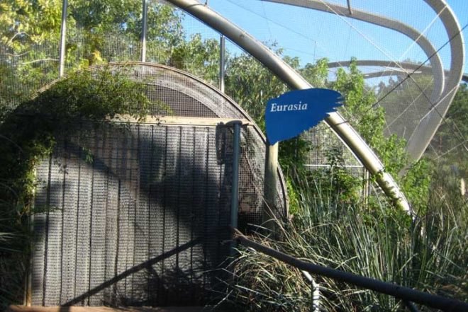 Bioparque Temaikén, Colobus Monkey, zoo, animals, buenos aires, argentina, patagonia, the ranch, la chacra, ozono, sewage treatment plant, megabats, acuarium, tehuelches, biopark, invisinet, Recycling initiatives, social design, Water Issues