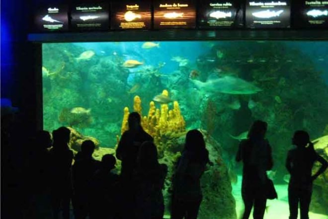 Bioparque Temaikén, Colobus Monkey, zoo, animals, buenos aires, argentina, patagonia, the ranch, la chacra, ozono, sewage treatment plant, megabats, acuarium, tehuelches, biopark, invisinet, Recycling initiatives, social design, Water Issues