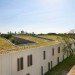 Botanical Research Institute of Texas, H3 Hardy Collaboration, BRIT, green roof, eco research center, leed platinum, green think tank
