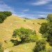 Caterpillar House, Feldman Architecture, rammed earth house, leed platinum house, eco house