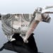 art, recycled materials, Craig Folds Five, origami money, origami, money, origami animals, us dollars