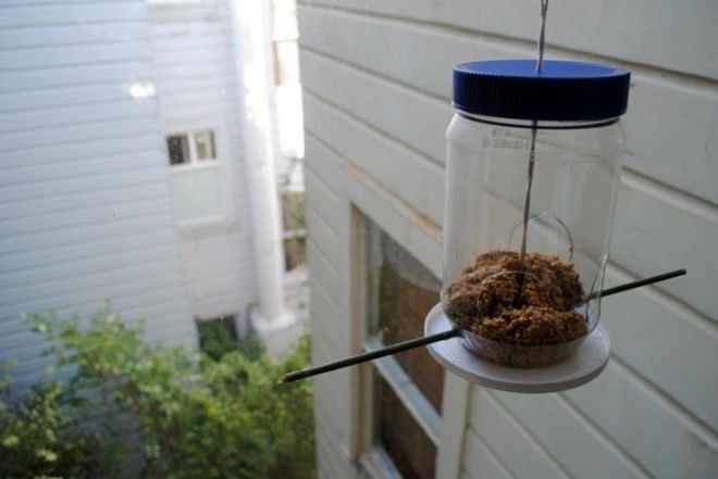 Birdfeeder, How-to, Window, Upcycle, Recycled, Peanut Butter Jar, Urban, DIY, Fire Escape