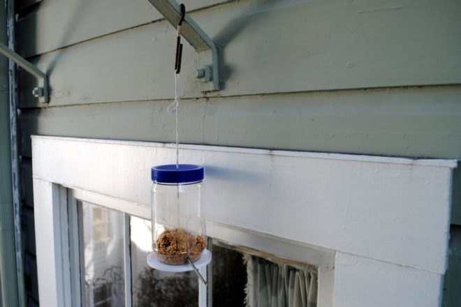 Birdfeeder, How-to, Window, Upcycle, Recycled, Peanut Butter Jar, Urban, DIY, Fire Escape