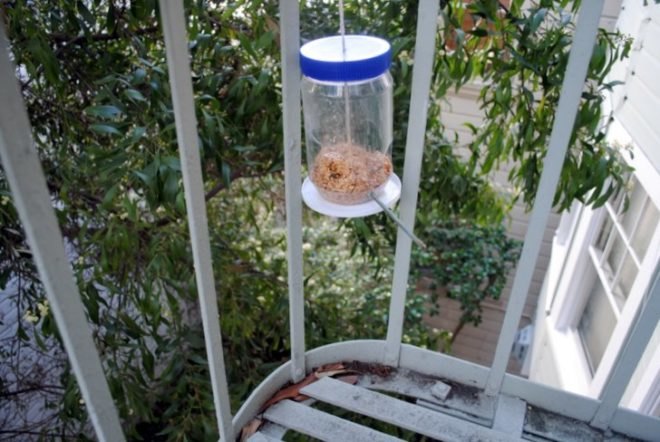 Birdfeeder, How-to, Window, Upcycle, Recycled, Peanut Butter Jar, Urban, DIY, Fire Escape
