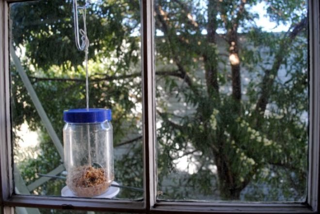 Birdfeeder, How-to, Window, Upcycle, Recycled, Peanut Butter Jar, Urban, DIY, Fire Escape