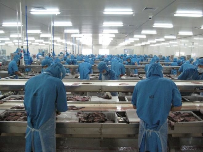 sustainable fish, seafood, aquaculture, overfishing, Future of Fish, fish farming