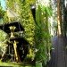 Dustin Feider, O2 Treehouse, tree house designs, 6 unique treehouse designs, green design, tree tops, sustainable design, eco design, tree top dwellings, recycled materials, FSC certified wood, bamboo,