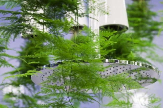 green design, sustainable design, eco-design, Green Waters, Patrick Nadeau, bathroom, LG Hauys, France, Paris, Compost toilet, wetland plants, recycling water, water conservation, grey water, wastewater treatment, the bathroom of the future